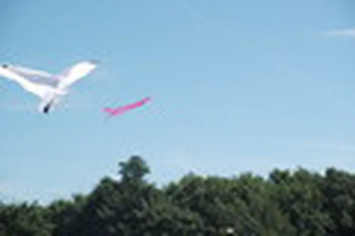 Photo from Kite Festival